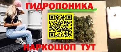 Альфа ПВП Краснознаменск