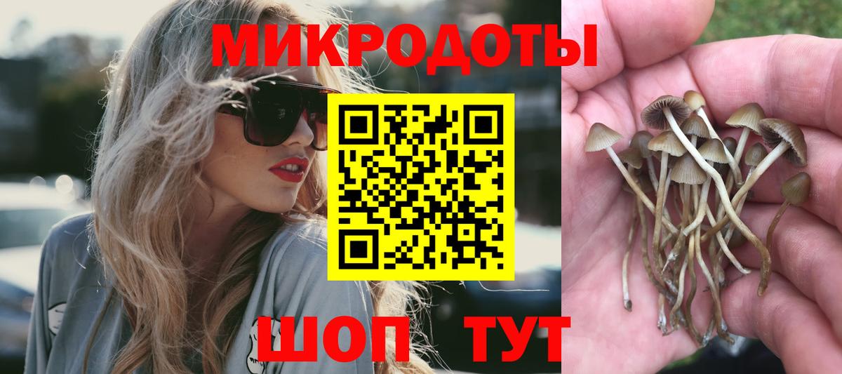 Камышин  Псилоцибиновые грибы MAGIC MUSHROOMS  сколько стоит  Вход с VPN 